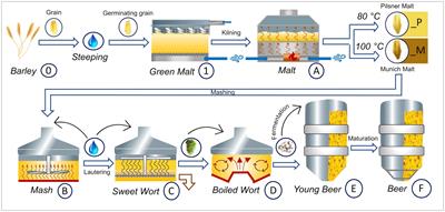 FT-ICR-MS reveals the molecular imprints of the brewing process